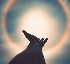 pexels-jonas-ferlin-3025562